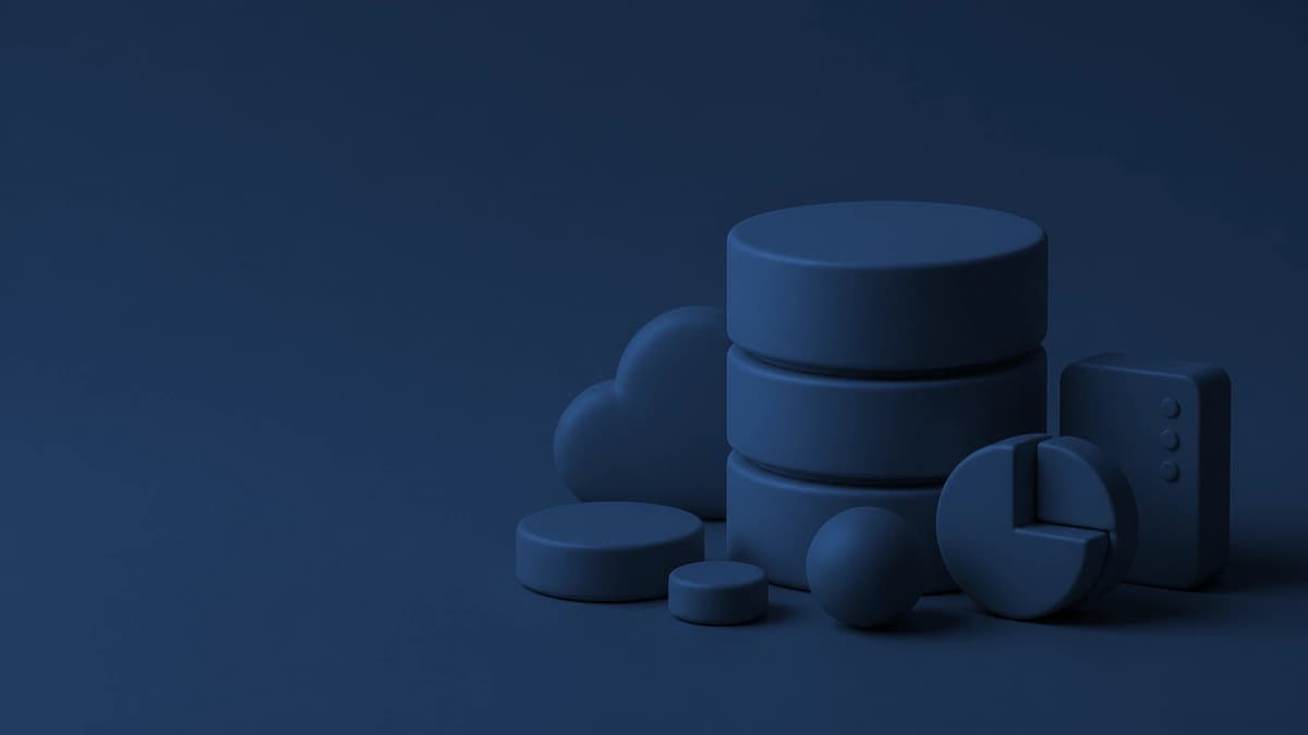 Database Management — featured image